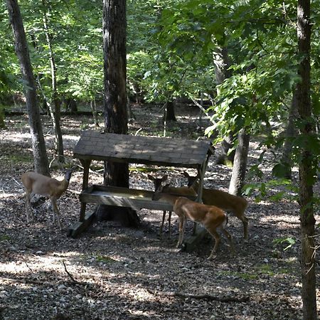 Apple Blossom Inn Eureka Springs Εξωτερικό φωτογραφία